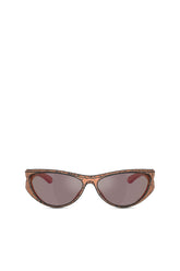 Women's Cat-eye style sunglasses Brown