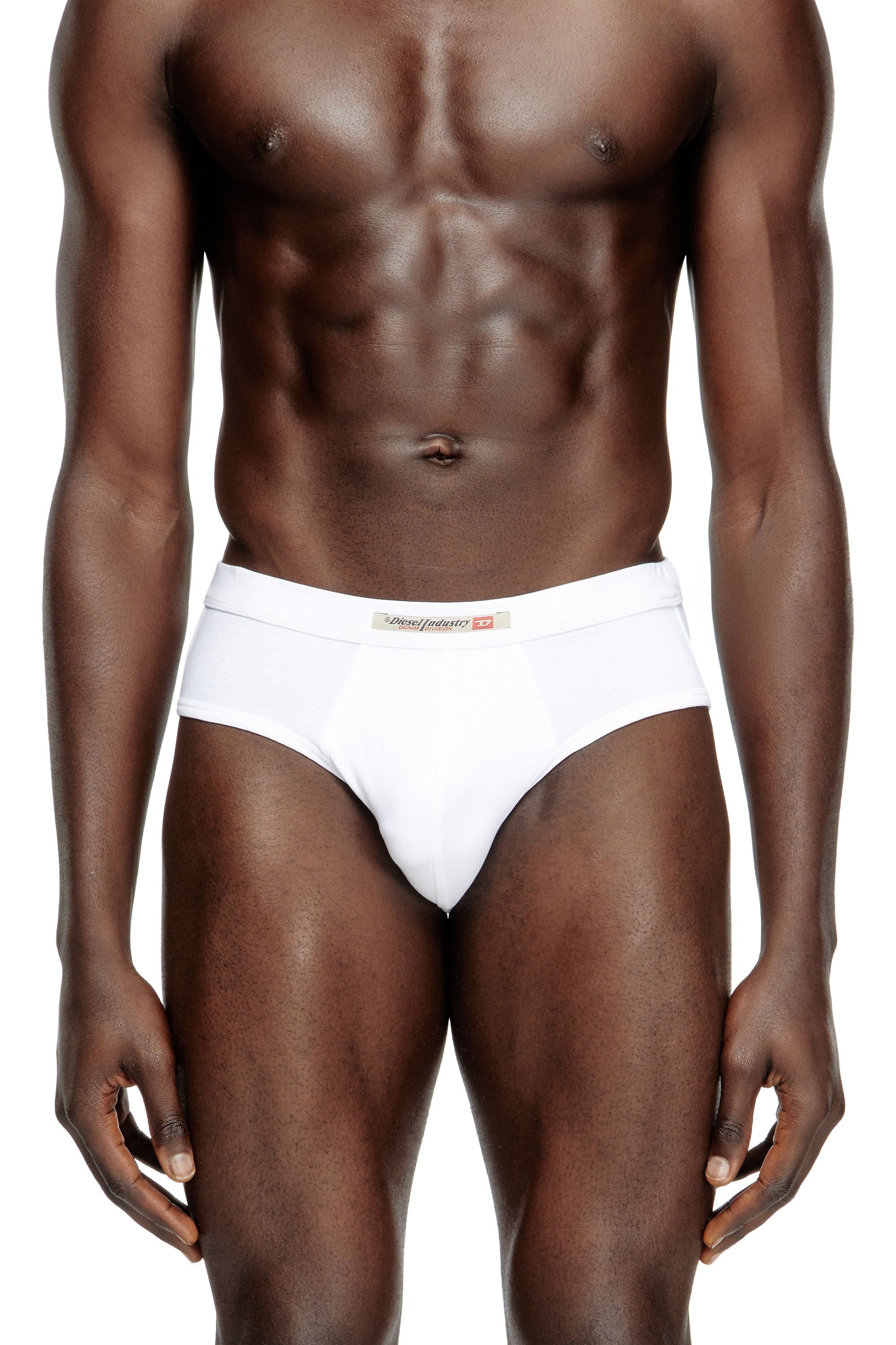 Men's 2-pack briefs with Diesel Industry flag Multicolor