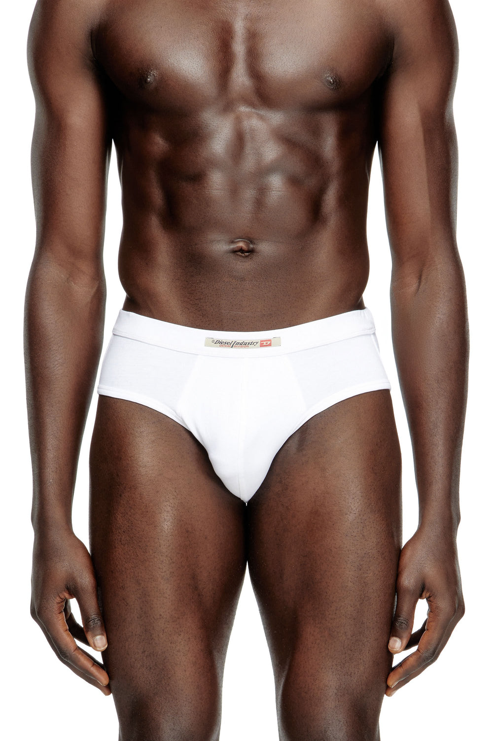 Men's 2-pack briefs with Diesel Industry flag Multicolor