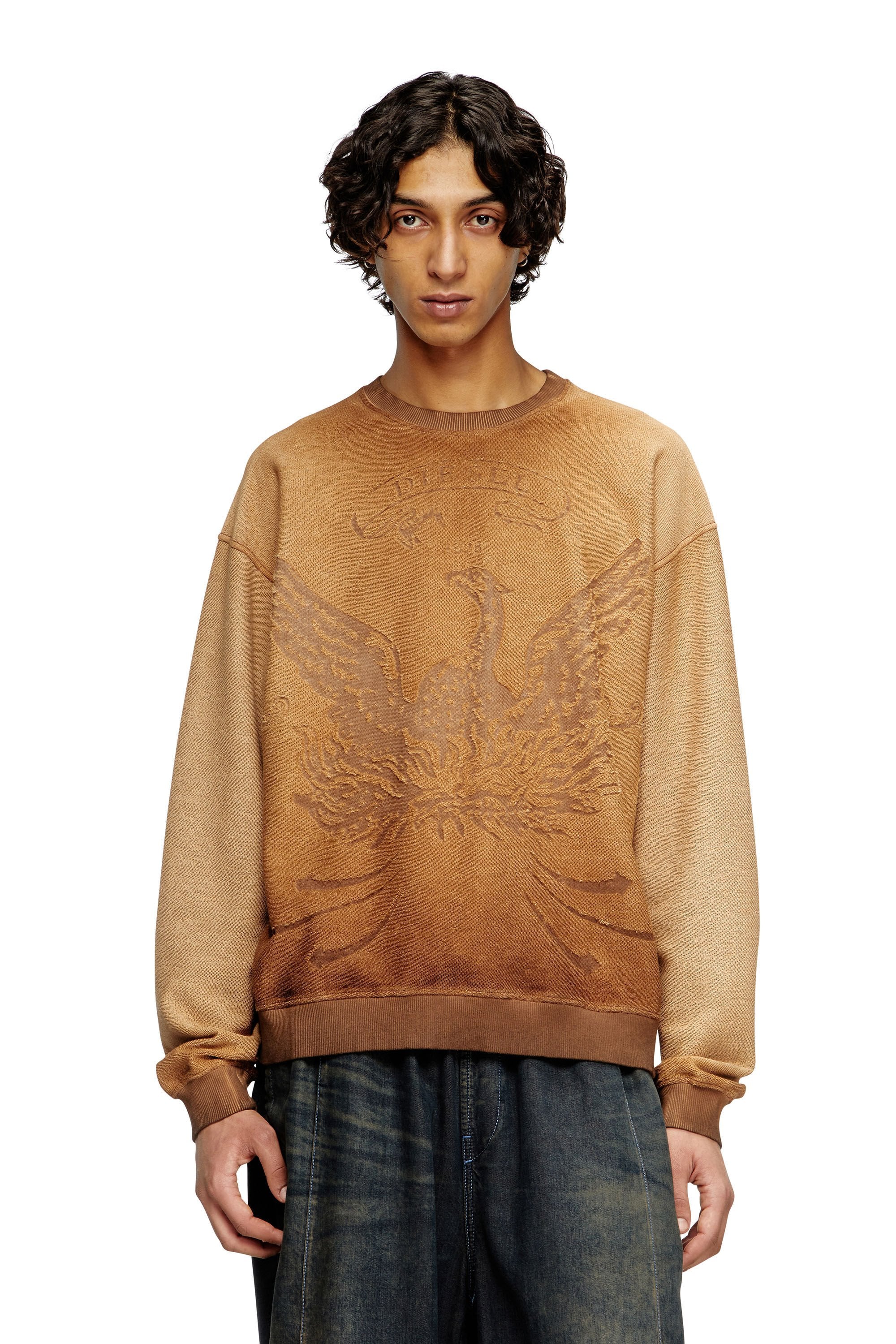 Men's Faded sweatshirt with devoré Phoenix logo Grey