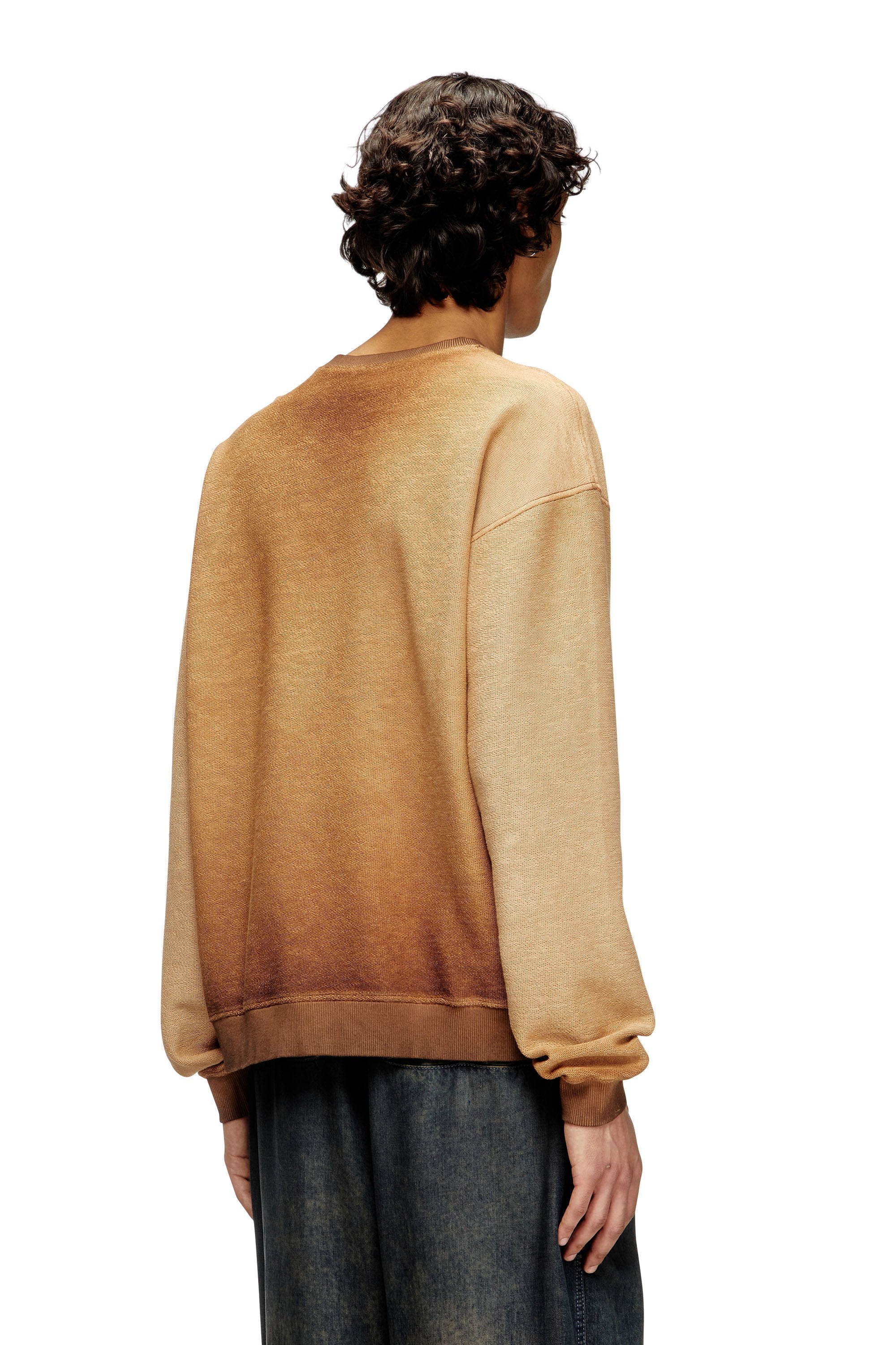 Men's Faded sweatshirt with devoré Phoenix logo Brown