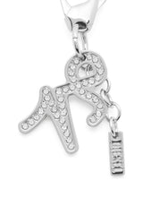 Women's Metal Capricorn charm with rhinestones Silver